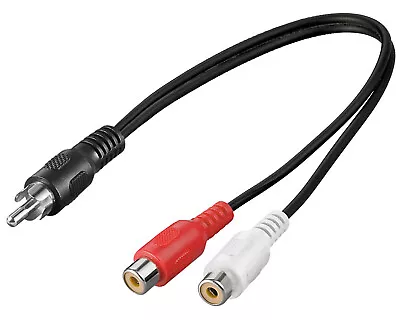 Kaufen Cinch Verteiler Y Adapter Kabel Splitter 20cm Adapterkabel 2x RCA Chinch Buchse • 3.97€