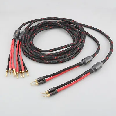 Kaufen Audiophile HiFi Lautsprecher Kabel Banana Pin Stecker Bi-Wire Lautsprecher Draht • 38.08€