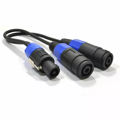 Kaufen 0.3m Pa Splitter Kabel Stecker Auf 2 Buchse Lautsprecher Verbindung [008074] • 16.37€